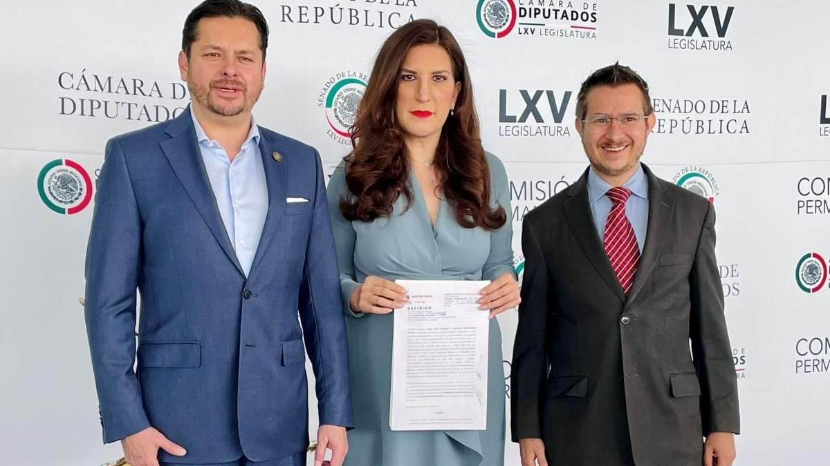 La senadora panista entregó la solicitud a la Cámara de Diputados