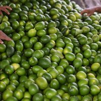Los alimentos con vitamina C ayudan a aliviar las reacciones alérgicas. Esto dice una experta