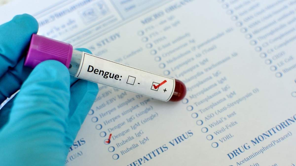 Tras la aprobación de la ANMAT, con el test será más fácil detectar el dengue. Fuente: (X)