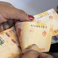 Aseguran que el aumento de salarios para trabajadores estatales neuquinos sería cercano al 15%