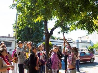 Árboles frutales en las calles: una nueva forma de oxigenar la ciudad