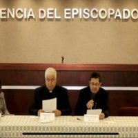“Claramente regresiva” y “un agravio a la vida democrática”, la reforma electoral de AMLO: CEM