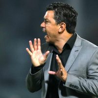 La consulta de Alberto Fernández a Marcelo Gallardo