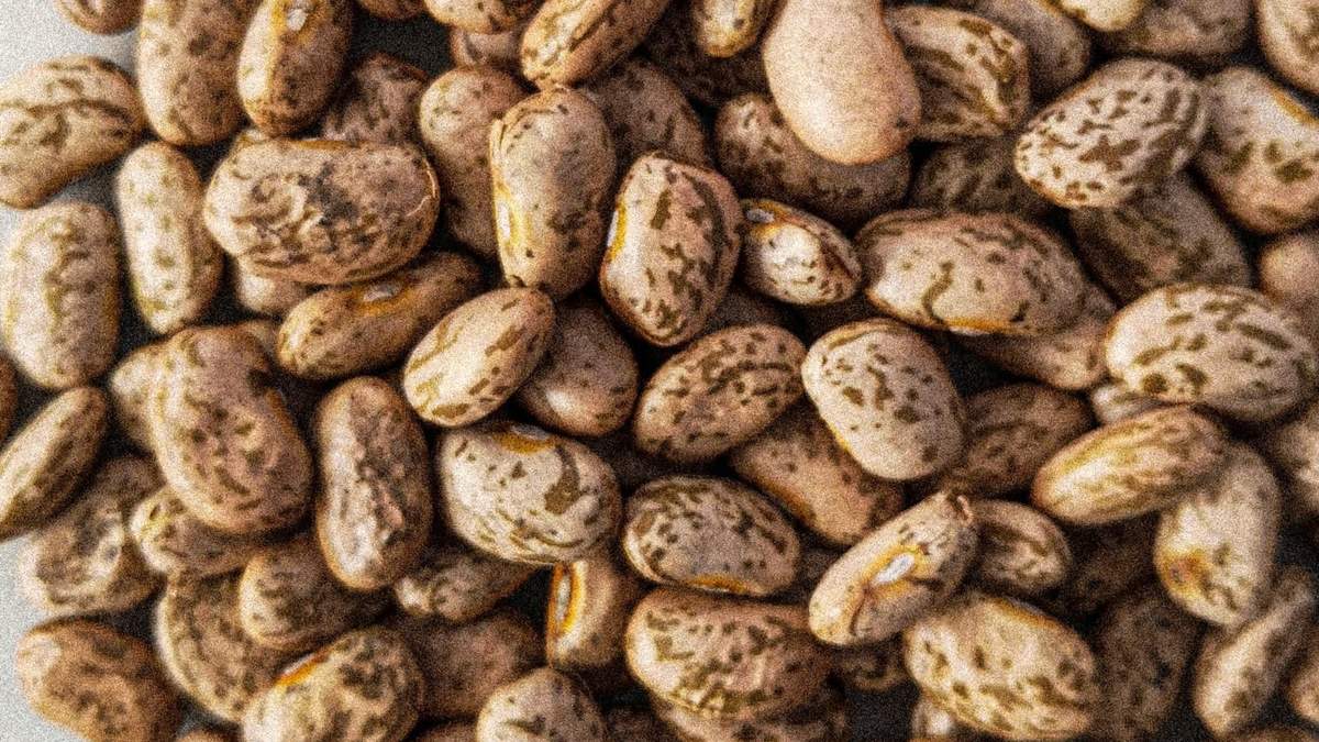 Porotos. Fuente: (Instagram)