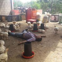 Asesinan a seis durante el fin de semana en Oaxaca