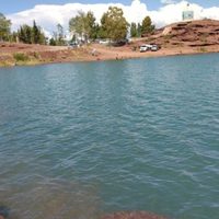 Salud advierte por la presencia de cianobacterias o algas verdeazules en aguas recreativas
