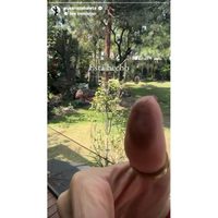 Así vivieron artistas la jornada electoral