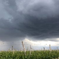 Pronóstico: para el viernes se esperan tormentas con granizo en Mendoza
