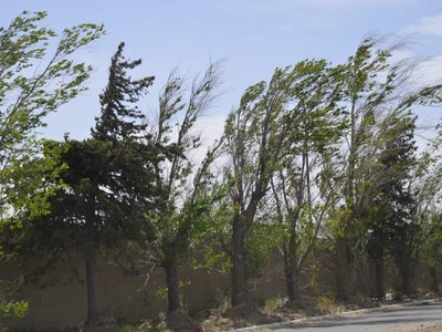 Clima en Neuquén: una de cal y otra de arena, estará soleado pero volverá el viento