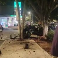 Jóvenes destrozan auto al chocar contra un árbol en Miguel Ángel de Quevedo; murieron tres