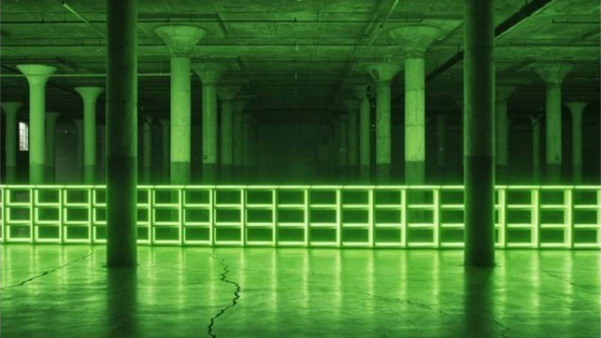 MARCO presenta Dan Flavin: Obras de la colección Dia Art Foundation,