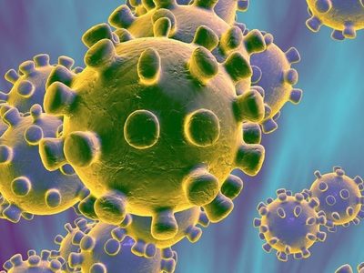 ¡Gran iniciativa! Neuquén se unirá a la investigación para conocer las cepas del virus