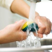 Cuidá tu bolsillo: el truco facilísimo y económico para dejar tus esponjas de la cocina como nuevas