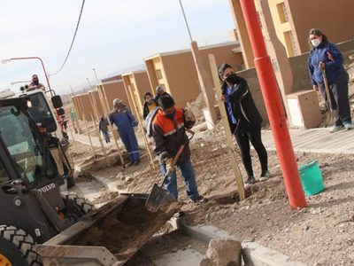 Zapala: continúa a muy buen ritmo la plantación de arbolado urbano