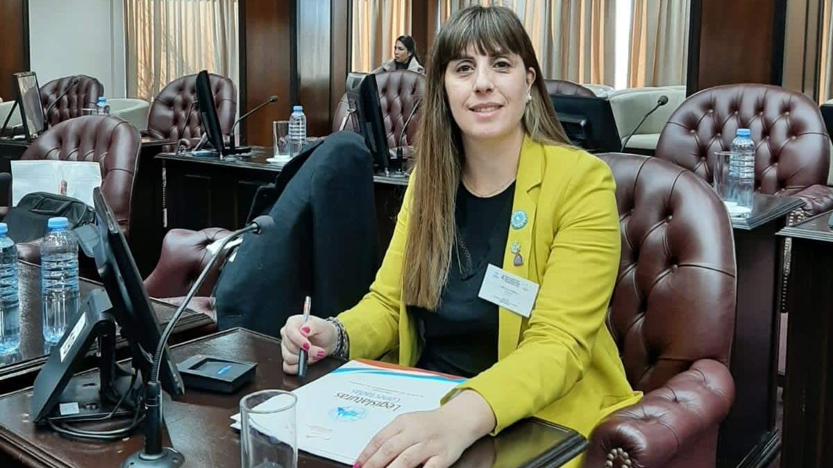 Lorena Abdala, diputada provincial. Fuente: (Twitter)