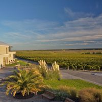 Neuquén: cuáles son las mejores bodegas para recorrer en vacaciones