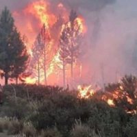 Aseguran que es "moderado" el índice de riesgo de incendios forestales en San Martín de los Andes