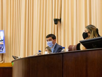 La Legislatura aprobó la creación de un programa escolar para el cuidado responsable de animales