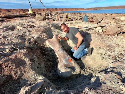 La bajante de un lago permitió encontrar un dinosaurio gigante en Neuquén
