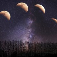 Luna creciente en octubre: los rituales para aprovechar esta energía, según el Feng Shui, y favorecer a la prosperidad