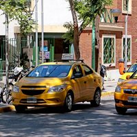 Taxi Rosa: “La parte amarilla le vamos a dar batalla”