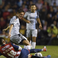 Gallos lo logra, se lleva su primer título en la Primera División