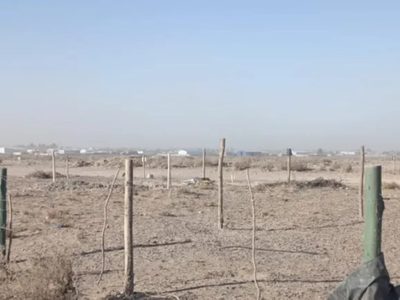 Familias adjudicadas con loteos sociales en Centenario reclaman luz, agua y accesos mínimos