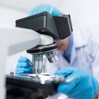 Investigación clínica: un pilar fundamental para el desarrollo en Argentina