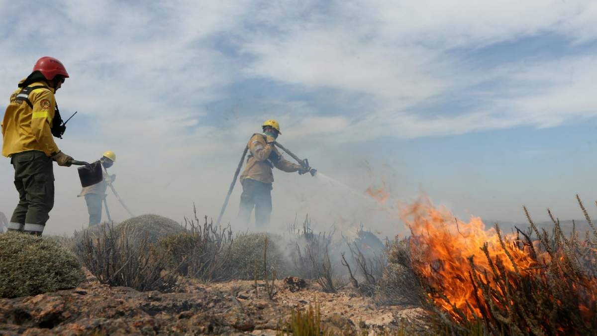 El foco de incendio se encuentra en una zona de difícil acceso en Aluminé. Fuente: (Twitter)