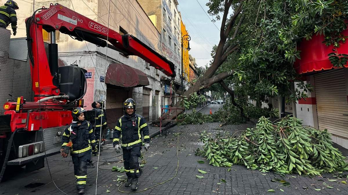 Por las lluvias del domingo un árbol cayó en el cruce de Jesús Maria y Regina en el Centro Histórico de la CDMX
