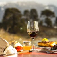 Neuquén: nueva edición del festival de gastronomía más importante de la provincia