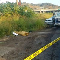 Domingo violento en Jalisco: cuatro ejecutados, un entambado y otro encobijado