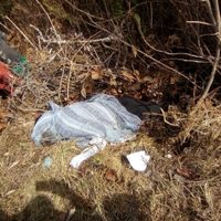 Hallan muerto a alcalde indígena de Aldama, Chiapas