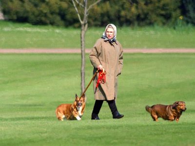 Harán una muestra fotográfica de la Reina Isabel II con sus corgis
