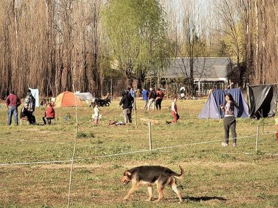 Desmienten la usurpación de casas en la Costa atlántica