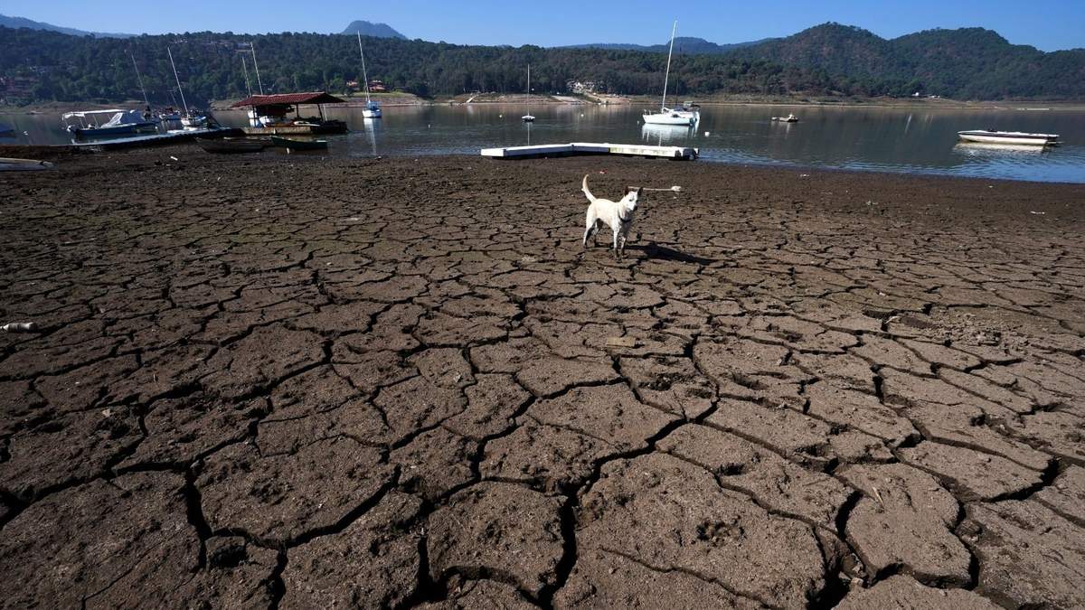 Un perro recorre las orillas agrietadas y expuestas de la presa Miguel Alemán en Valle de Bravo