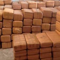 PF asegura más de mil 700 kilos de mariguana en carretera de Coahuila