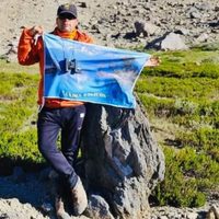 Impresionante: hallaron un bosque petrificado escondido en la cordillera en Neuquén