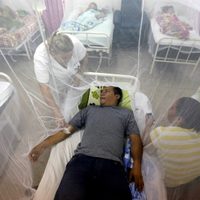 La curva del dengue sigue subiendo en Jujuy y Tucumán