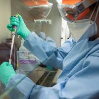 Números reales del coronavirus: Argentina aumentará la cantidad de testeos diarios en todo el país