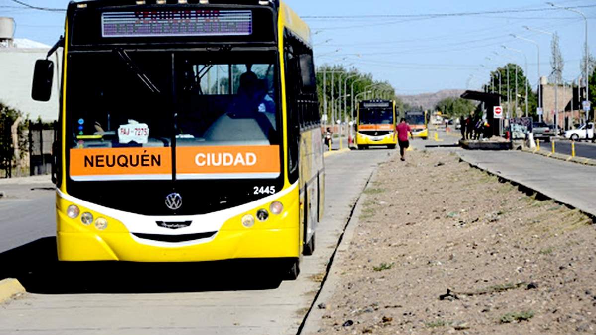 Autobuses Neuquén. Foto: (Twitter)