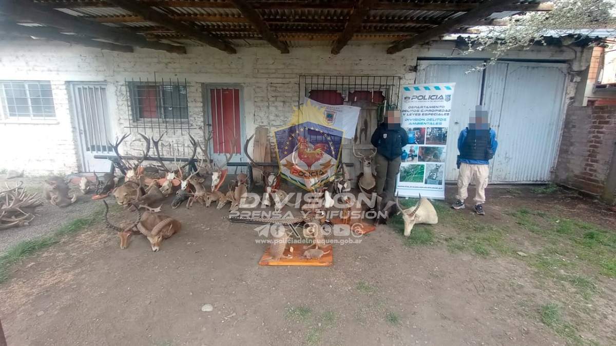 Parte de lo encontrado en el allanamiento en Junín de los Andes. Fuente: (Policía de Neuquén)