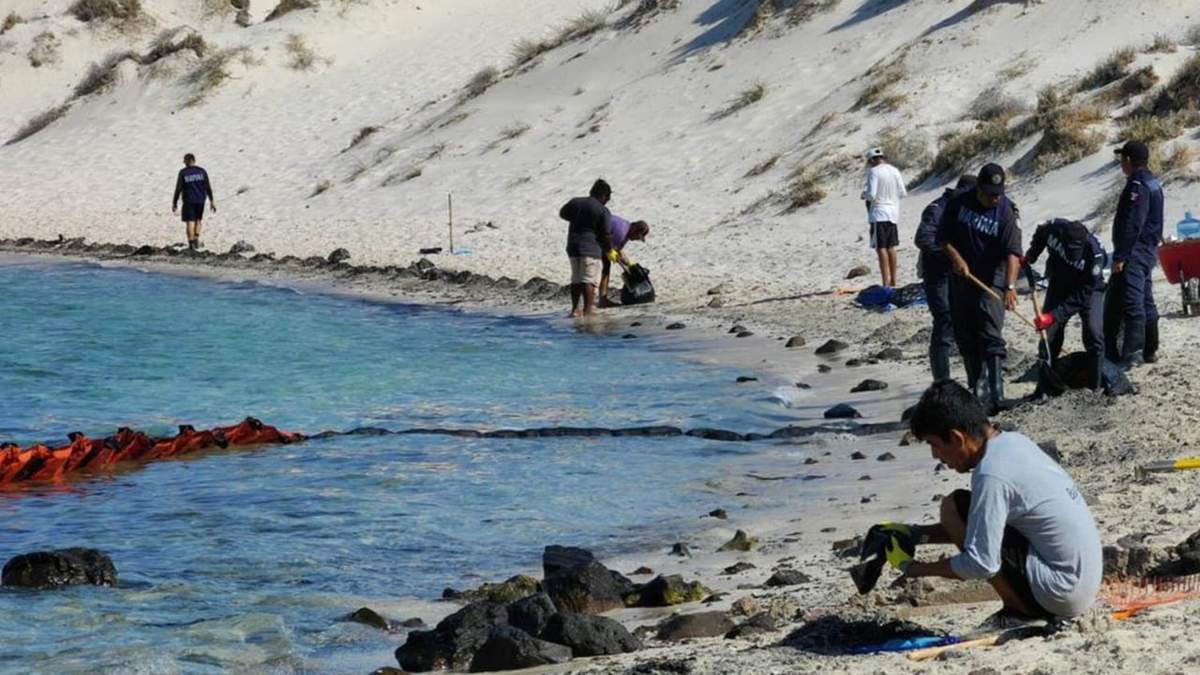 Limpieza de playa Balandra, Baja California Sur, por derrame de combustible