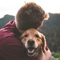 No gastés más en golosinas para perros y sorprendé a tu mascota con estas galletas hechas en casa