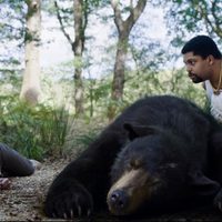 "Oso intoxicado": un Baloo siniestro