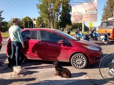 Quiso pasar el control de tránsito con una persona en el baúl