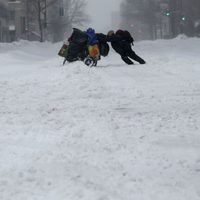Paraliza tormenta de nieve la Costa Este de EU; reportan al menos nueve muertos
