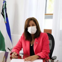 Arabela Carreras autorizó el ingreso del proyecto de hidrógeno verde