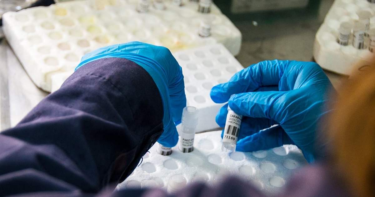 Análisis de coronavirus. Fuente: (Twitter)