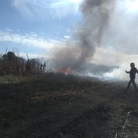Mueren gobernadora de Puebla y su esposo en accidente aéreo